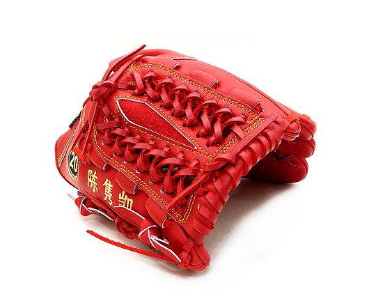 Taiwan Baseball - ZETT, HATAKEYAMA, SSK, HI-GOLD, WOODZ, TWB